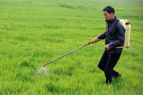 糧食作物病蟲害預計激增24%，農業(yè)面源與重金屬污染防治技術亟待強化