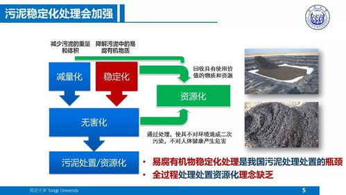 面向污水廠提質增效的污泥處理處置技術方向及農業(yè)面源與重金屬污染防治技術服務