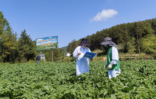 萬源硒科助農結碩果，富硒產業(yè)發(fā)展與環(huán)保雙贏