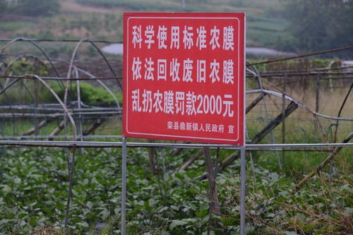 榮縣強化農業(yè)面源污染治理，回收農業(yè)廢棄物700噸