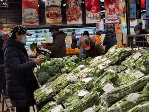 首農食品節盛大啟幕，惠民與環保并行 500種商品讓利三成，農業綠色技術護航