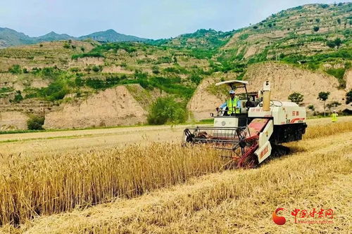 西和 堅守耕地紅線筑牢糧食安全 壓艙石