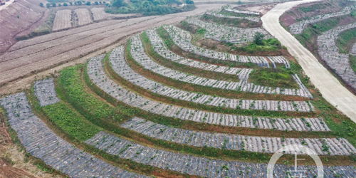 農(nóng)業(yè)面源污染防治見實效，2021年重慶化肥農(nóng)藥使用量均同比減少