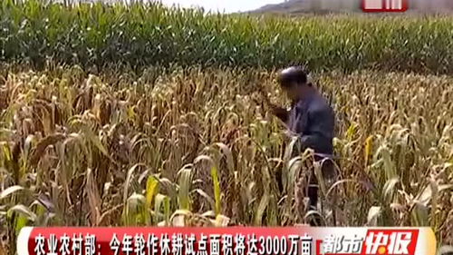 農業農村部推進3000萬畝輪作休耕試點，助力農業面源與重金屬污染治理